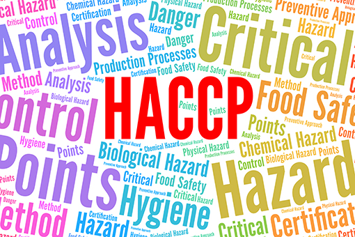 HACCP text Montage Image