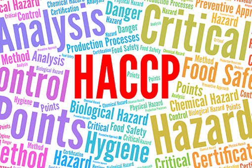 Graphic montage of the letters HACCP HACCP text Graphic