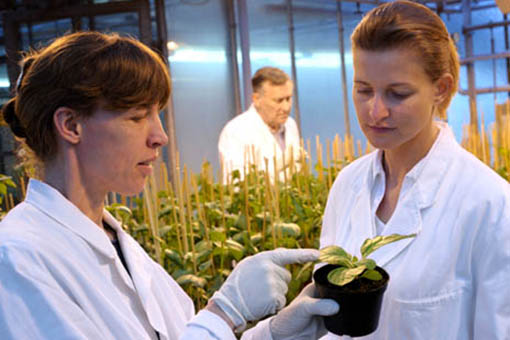 Agricultural scientists