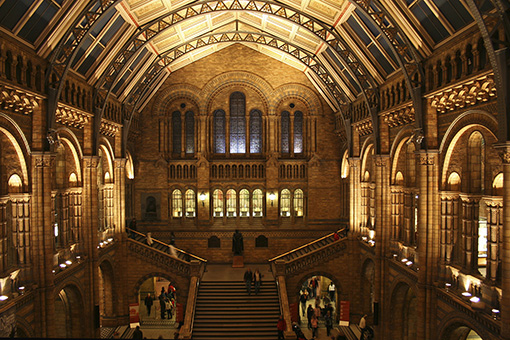 Inside a museum