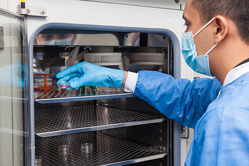 pharmaceutical_temperature_monitoring_standards1 Thermal mapping for biotech